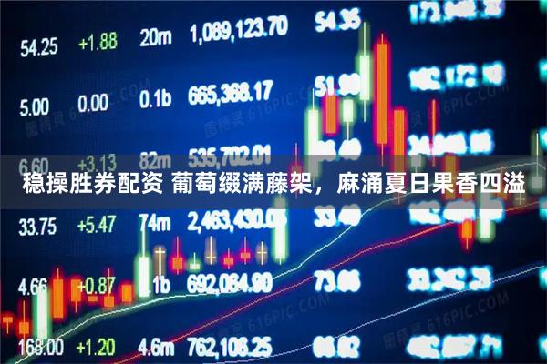 稳操胜券配资 葡萄缀满藤架，麻涌夏日果香四溢